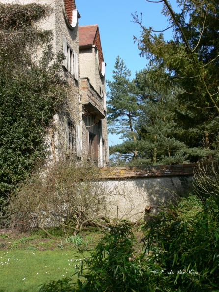 Bois des Moutiers (62) mars 2012